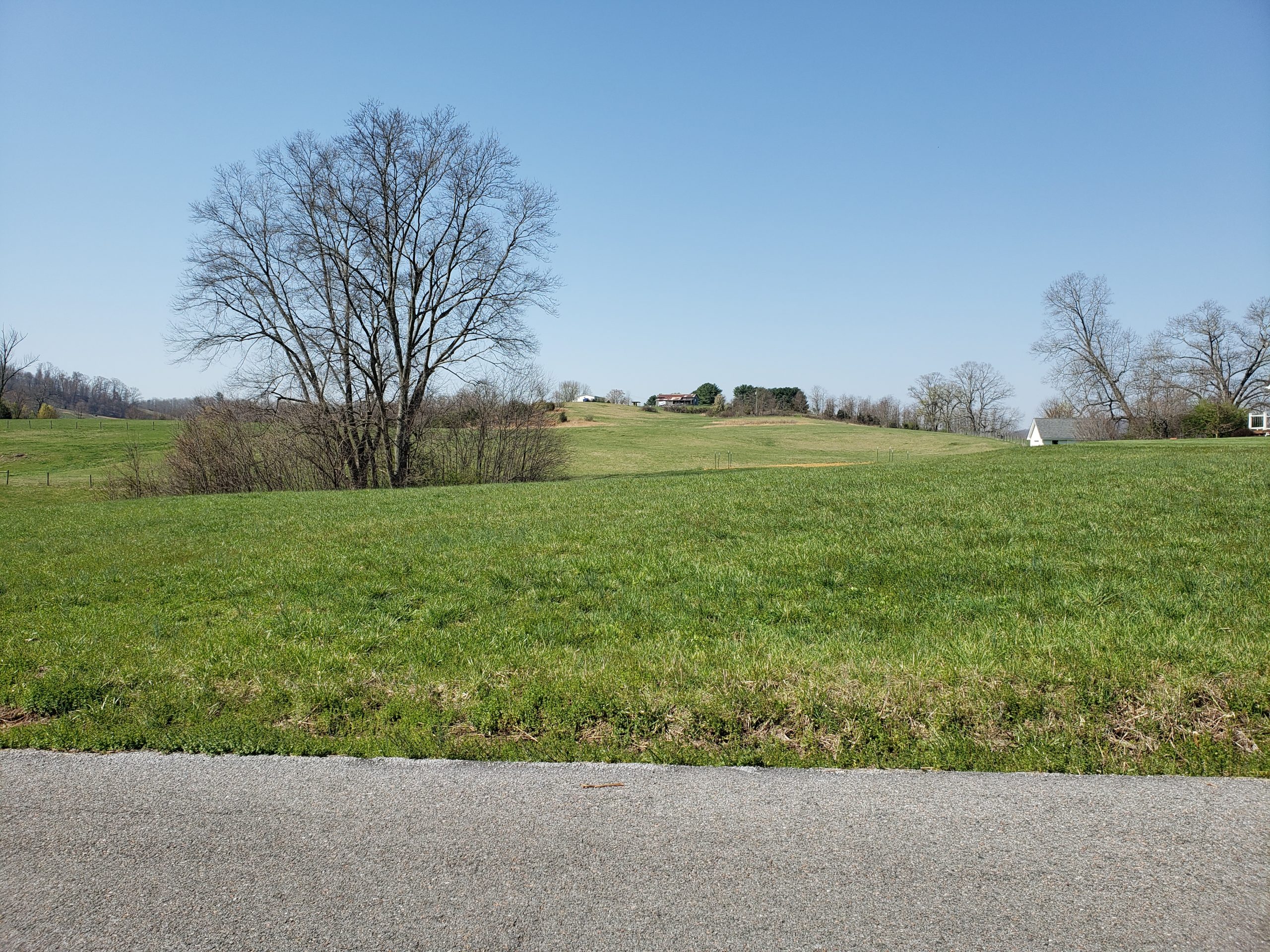 Beautiful Lot in Chateau Lesueur Subdivision